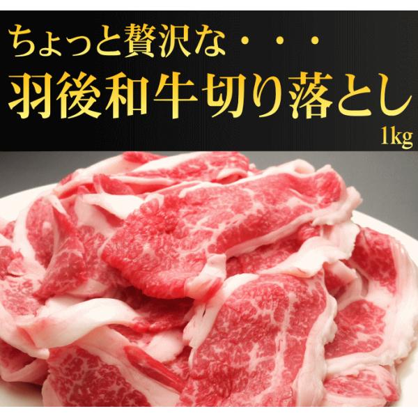 羽後和牛切り落とし　１kg　