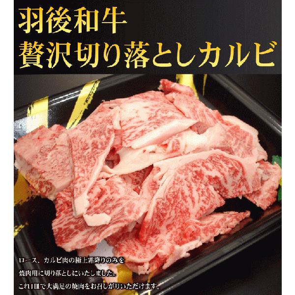 羽後和牛　ぜいたく切り落としカルビ　３００g
