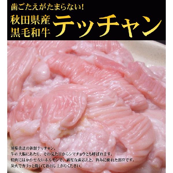 羽後和牛　大腸（テッチャン・シマチョウ）　１００ｇ
