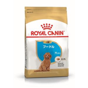 ロイヤルカナン プードル 子犬用 1.5kg 犬種別フード プードル専用 幼犬用 パピー １．５KG 3182550765213｜UGペット.com