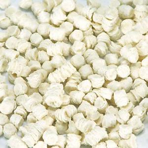 SANKO 乳酸菌 サプリ お徳用 100g ...の詳細画像1
