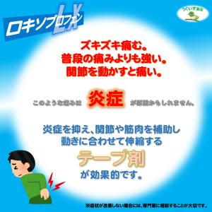 【第2類医薬品】 (6袋) 小判 8.1% ロ...の詳細画像4