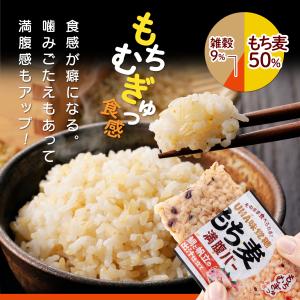 【公式】UHA味覚糖 もち麦満腹バー 下鴨茶寮...の詳細画像3