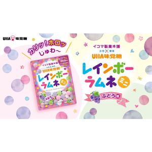 [公式]まとめ買い UHA味覚糖 レインボーラ...の詳細画像3
