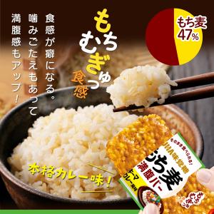UHA味覚糖 もち麦満腹バー キーマカレー風味...の詳細画像2
