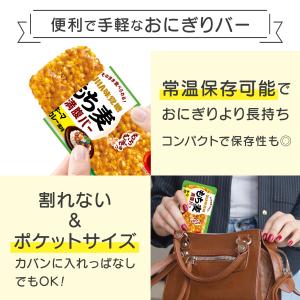 UHA味覚糖 もち麦満腹バー キーマカレー風味...の詳細画像4