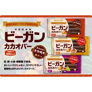 UHA味覚糖 ビーガンカカオバー ローストアー...の詳細画像1