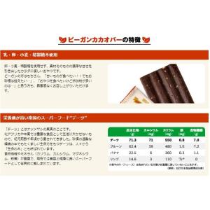 UHA味覚糖 ビーガンカカオバー ローストアー...の詳細画像3
