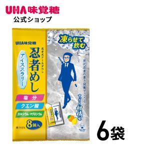 【公式】忍者めしアイススラリー すっきり柑橘味　6袋セット