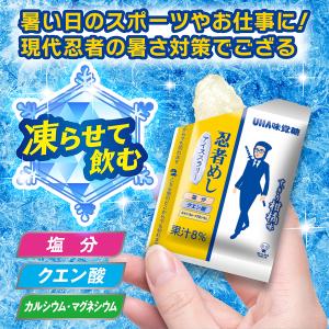 【公式】忍者めしアイススラリー すっきり柑橘味...の詳細画像2