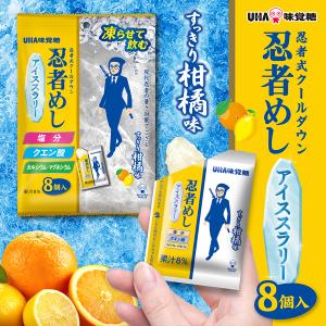 【公式】忍者めしアイススラリー すっきり柑橘味...の詳細画像1