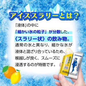 【公式】忍者めしアイススラリー すっきり柑橘味...の詳細画像2