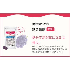UHA味覚糖 通販限定 グミサプリ 鉄&amp...の詳細画像1