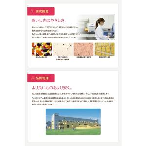 UHA味覚糖 通販限定 グミサプリ 鉄&amp...の詳細画像3