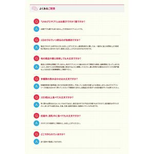 UHA味覚糖 通販限定 グミサプリ 鉄&amp...の詳細画像4