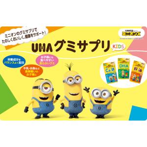 UHA味覚糖 グミサプリKIDS DHA ミニ...の詳細画像1