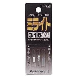 リチウム電池　100Ah12v GTK 新品 ヒロミ産業 ミライト316B/316W/316G 発光ダイオード付リチウム電池