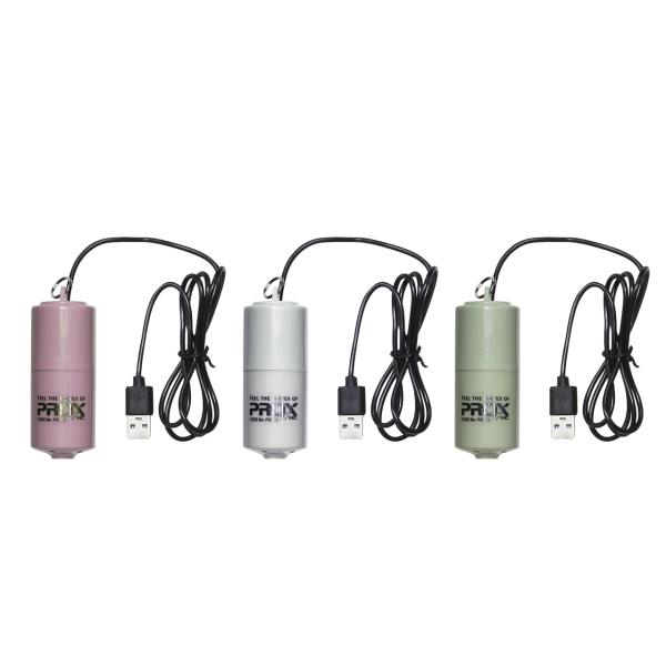 （送料無料)プロックス(PROX) USBミニブク  PX318