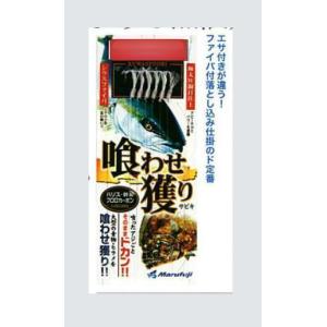 Marufuji(マルフジ) 喰わせ獲りサビキＭ 6本ファイバ付 D-048 (タテ釣り仕掛け) ハリス２０号×幹糸２０号｜uido