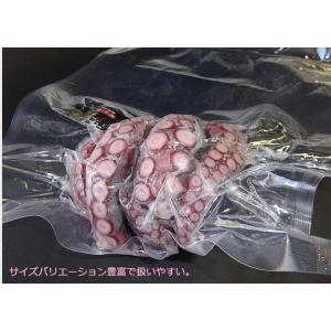 クリロン化成 ナイロンポリ袋 真空袋 彊美人 ...の詳細画像5