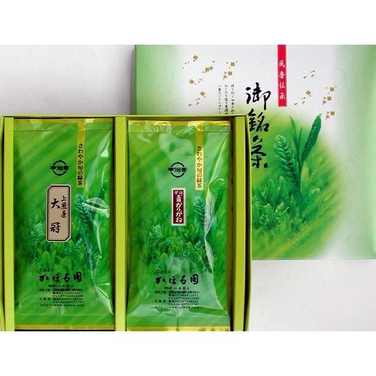 宇治茶 平 ケース 100g 2本入 国産 紙箱