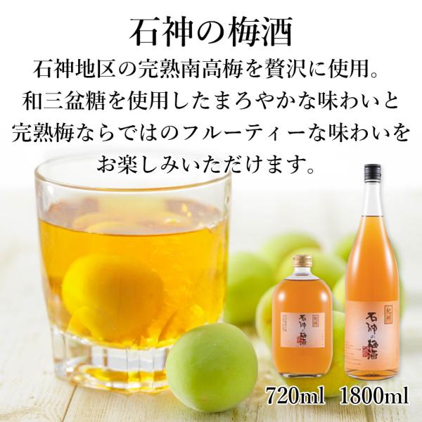 【1箱6本入り】石神の梅酒 1800ml
