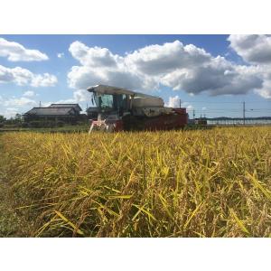 令和7年産 コシヒカリ 無洗米27kgの詳細画像1
