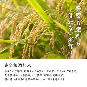【令和7年度産】熊本県【大自然米】完全無農薬・...の詳細画像2