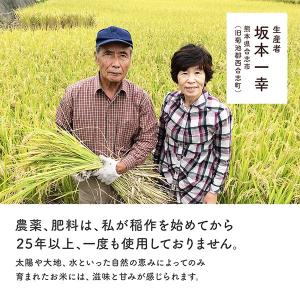【令和7年度産】熊本県【大自然米】完全無農薬・...の詳細画像3