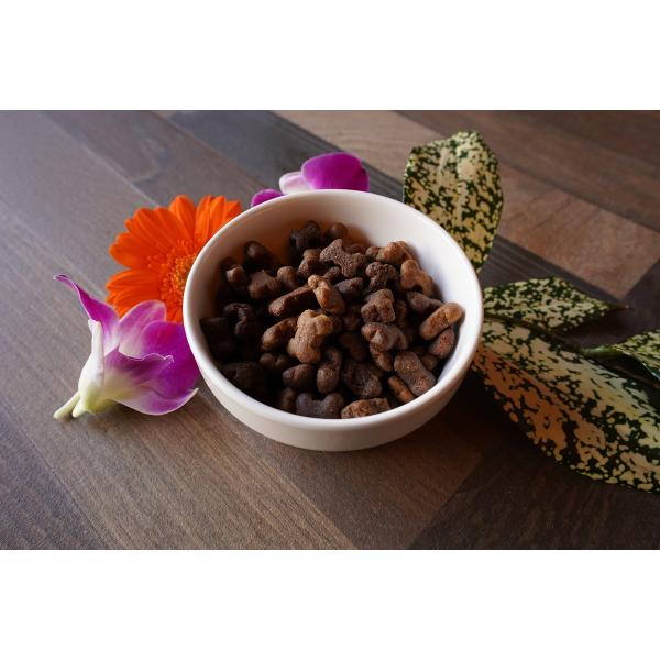 犬用トレーニングトリーツ　フィッシュワン　フレッシュミートトリーツ　500g