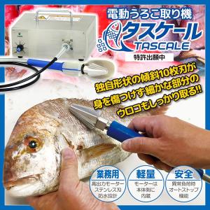 業務用 電動ウロコ取り機 F-SR型 ピオニー ［うろこ取り器 ウロコ取り