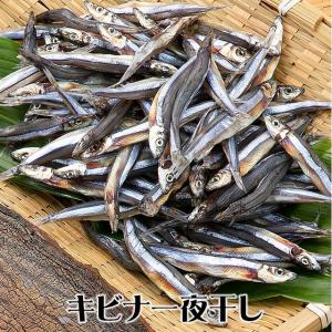 五島列島天然魚 さかな屋が作った一夜干し 竹セットの詳細画像4
