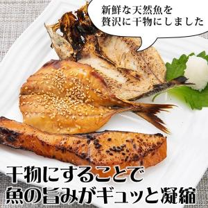 五島列島天然魚 さかな屋が作った一夜干し 竹セットの詳細画像5