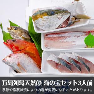 五島列島天然魚の刺身 海の宝セット3人前