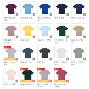 594201 Tシャツ 半袖 6.2オンス 綿...の詳細画像3