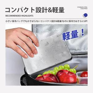 保冷剤 ステンレス 2個セット 長時間 【2点...の詳細画像2
