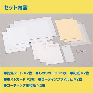 アーテック ArTec 押し花セット キッズ ...の詳細画像2