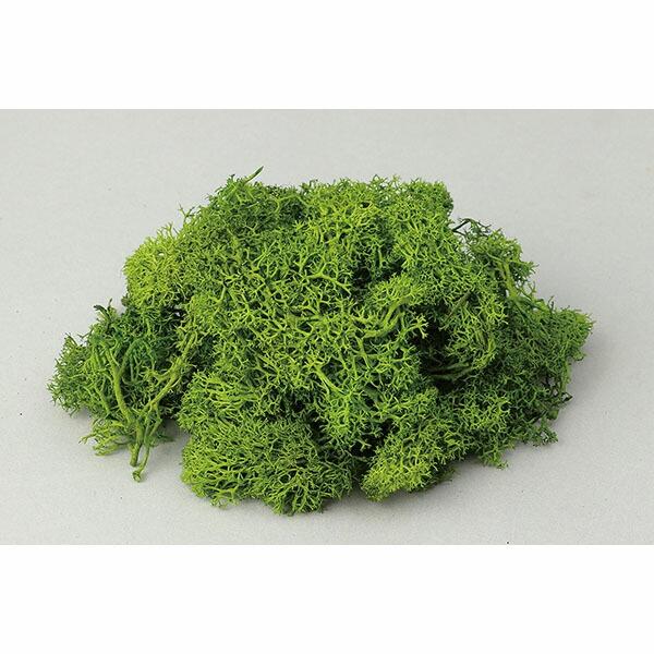 (2個セット) アーテック ArTec アイスランドモスフレッシュグリーン 自由工作 クラフト 図工...