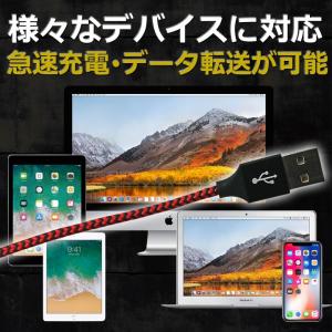 iphone 充電 ケーブル 1m 断線しにく...の詳細画像3
