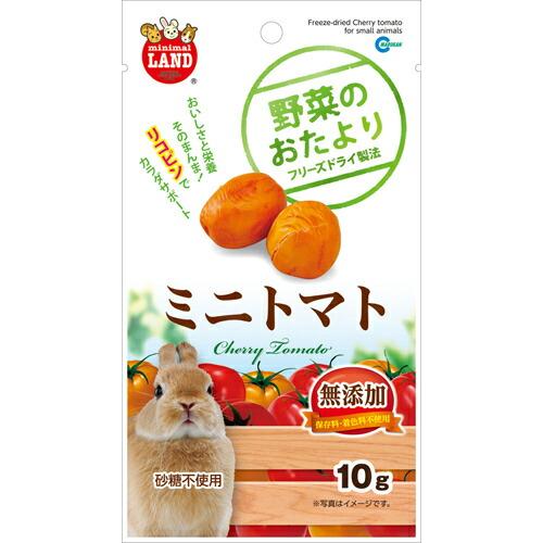 (3個セット) マルカン 野菜のおたより ミニ トマト 10g