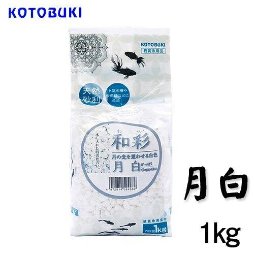 (3個セット) 寿工芸 和彩 月白 1kg 熱帯魚・観賞魚 全年齢 コトブキ kotobuki アク...