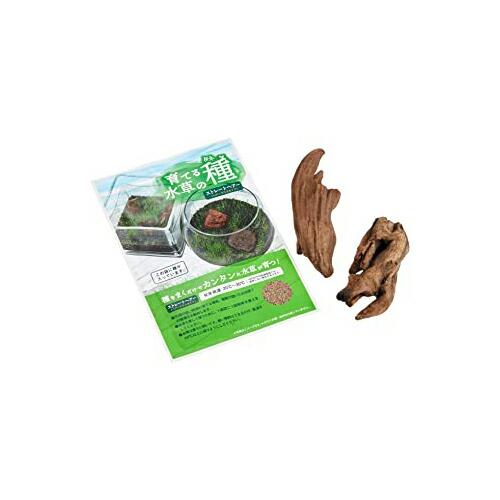 育てる水草の種 ストレート ヘアー&amp;流木 マルカン ニッソー 観賞魚用品観賞魚用アクセサリー用品 価...
