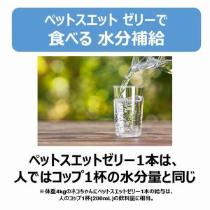 (3個セット) アース・ペット ペットスエット...の詳細画像4