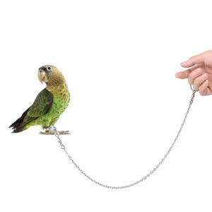 POTATO 鳥用ハーネス インコ専用鳥の足輪 リード ハーネストカゲ小動物用アウトドア お散歩 迷子防止 足チェーン リーシュ 運動不足