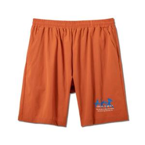 AKTR ウェア ショーツ バスパン  アクター AEROSTEAM LOGO 8.5-INCH SHORTS｜ult-collection