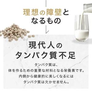 プロテイン ウルトラ 1kg 810g ホエイ...の詳細画像2