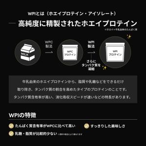 【10%OFFクーポン】WPI100%プロテイ...の詳細画像3