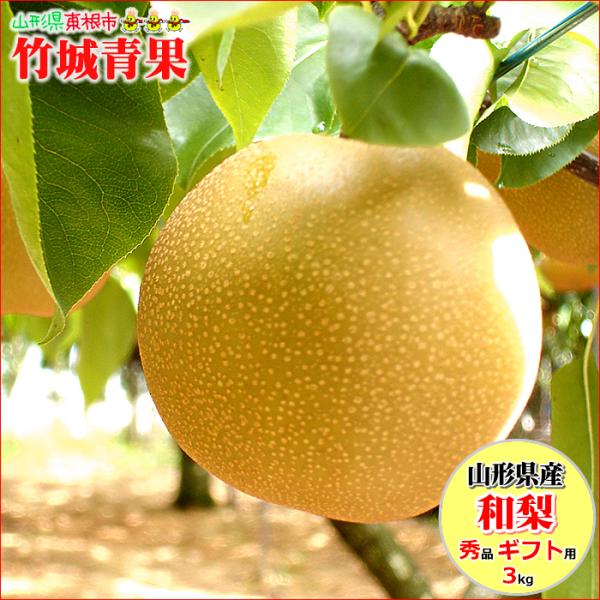 【9月上旬から順次出荷予定】山形県産 なし 和梨(各種) 3kg(秀品/6〜12玉入り)※日時指定は...