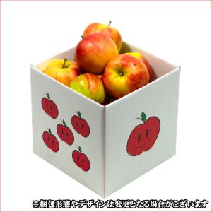 【順次出荷中!】山形県産 訳あり りんご サン...の詳細画像1