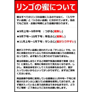 【順次出荷中!】山形県産 訳あり りんご サン...の詳細画像5